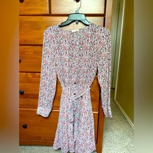 GAP Button-up Paisley Dress (nursing friendly)